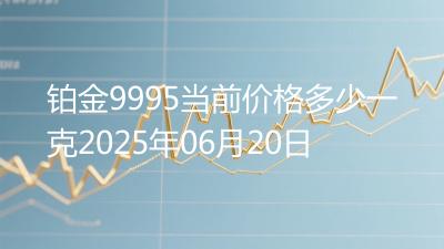 铂金9995当前价格多少一克2025年06月20日