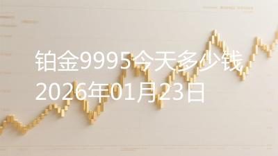 铂金9995今天多少钱2026年01月23日