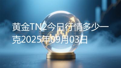 黄金TN2今日行情多少一克2025年09月03日