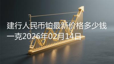 建行人民币铂最新价格多少钱一克2026年02月14日
