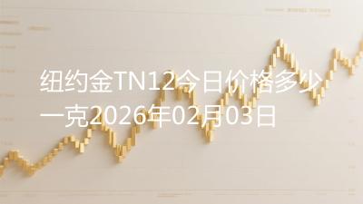 纽约金TN12今日价格多少一克2026年02月03日