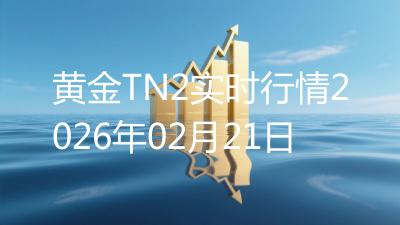 黄金TN2实时行情2026年02月21日