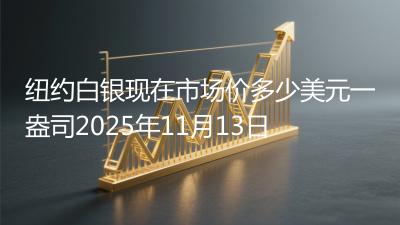 纽约白银现在市场价多少美元一盎司2025年11月13日