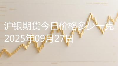 沪银期货今日价格多少一克2025年09月27日