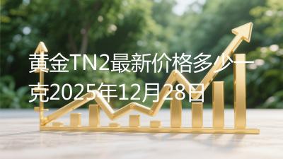 黄金TN2最新价格多少一克2025年12月28日