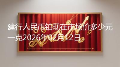 建行人民币铂现在市场价多少元一克2026年02月12日
