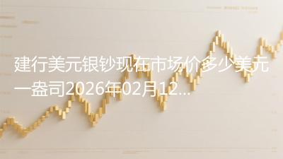 建行美元银钞现在市场价多少美元一盎司2026年02月12日