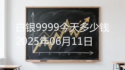 白银9999今天多少钱2025年06月11日