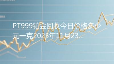PT999铂金回收今日价格多少元一克2025年11月23日