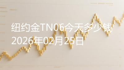 纽约金TN06今天多少钱2026年02月25日