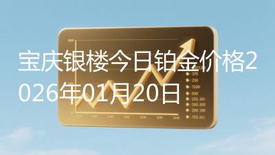 宝庆银楼今日铂金价格2026年01月20日