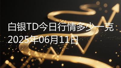 白银TD今日行情多少一克2025年06月11日