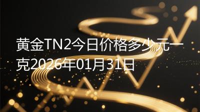 黄金TN2今日价格多少元一克2026年01月31日