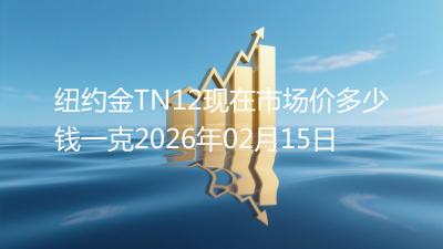 纽约金TN12现在市场价多少钱一克2026年02月15日