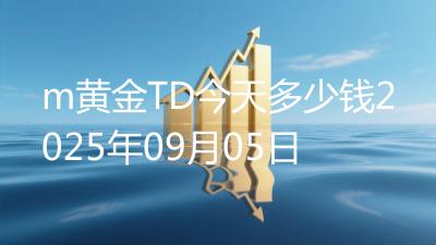 m黄金TD今天多少钱2025年09月05日