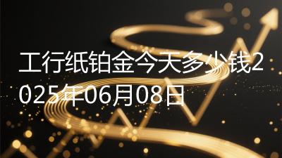 工行纸铂金今天多少钱2025年06月08日