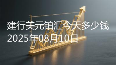 建行美元铂汇今天多少钱2025年08月10日