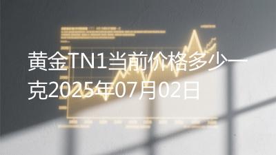 黄金TN1当前价格多少一克2025年07月02日