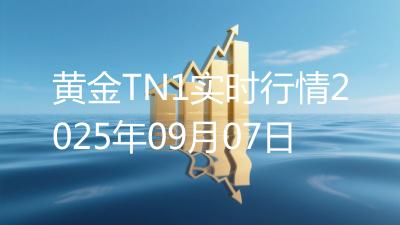 黄金TN1实时行情2025年09月07日