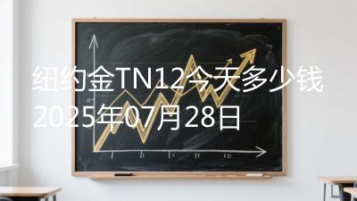 纽约金TN12今天多少钱2025年07月28日