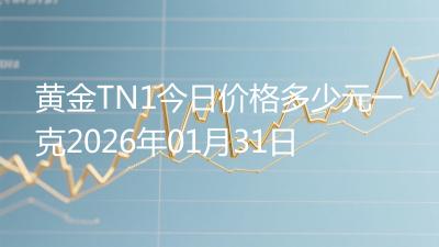 黄金TN1今日价格多少元一克2026年01月31日