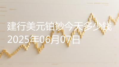 建行美元铂钞今天多少钱2025年06月07日