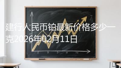 建行人民币铂最新价格多少一克2026年02月11日