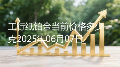 工行纸铂金当前价格多少一克2025年06月07日
