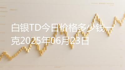 白银TD今日价格多少钱一克2025年06月23日
