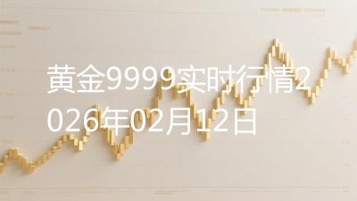 黄金9999实时行情2026年02月12日
