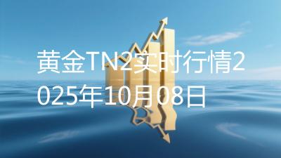 黄金TN2实时行情2025年10月08日