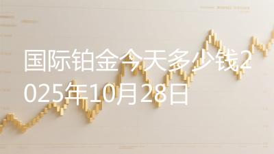 国际铂金今天多少钱2025年10月28日