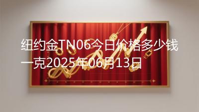 纽约金TN06今日价格多少钱一克2025年06月13日