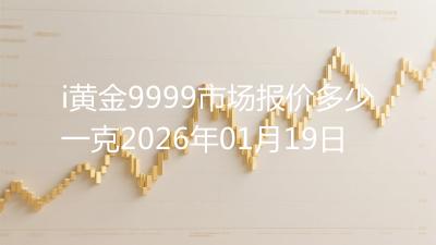 i黄金9999市场报价多少一克2026年01月19日