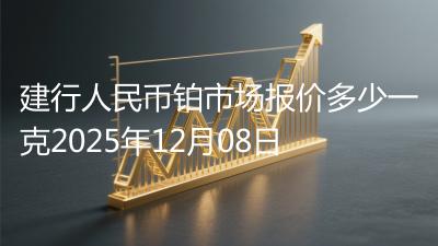 建行人民币铂市场报价多少一克2025年12月08日