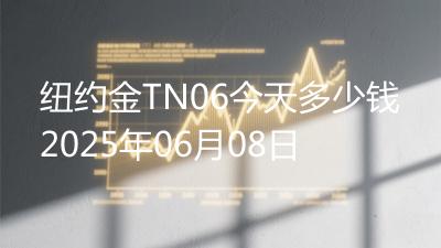 纽约金TN06今天多少钱2025年06月08日