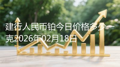 建行人民币铂今日价格多少一克2026年02月18日