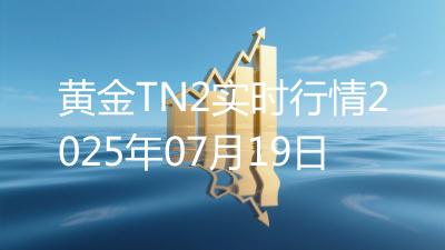黄金TN2实时行情2025年07月19日
