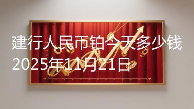 建行人民币铂今天多少钱2025年11月21日