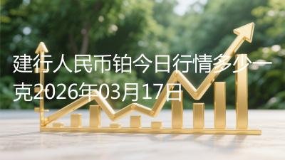 建行人民币铂今日行情多少一克2026年03月17日