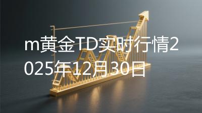 m黄金TD实时行情2025年12月30日