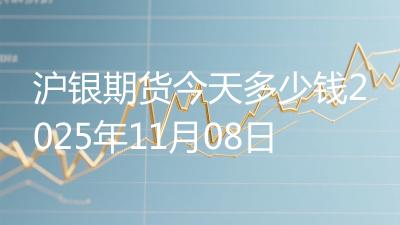 沪银期货今天多少钱2025年11月08日
