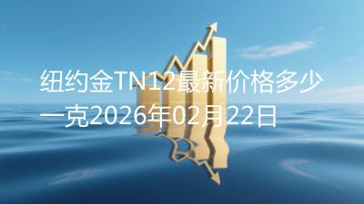 纽约金TN12最新价格多少一克2026年02月22日