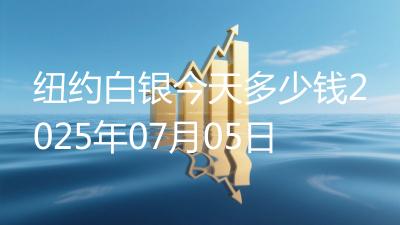 纽约白银今天多少钱2025年07月05日