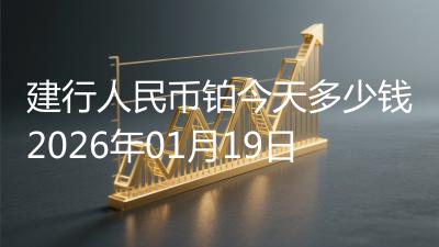 建行人民币铂今天多少钱2026年01月19日