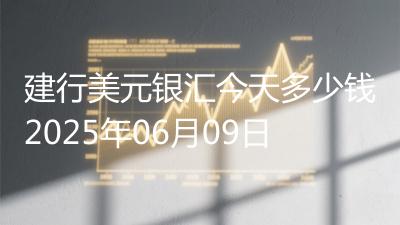 建行美元银汇今天多少钱2025年06月09日