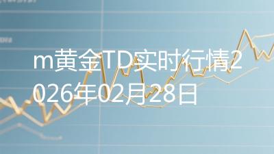 m黄金TD实时行情2026年02月28日