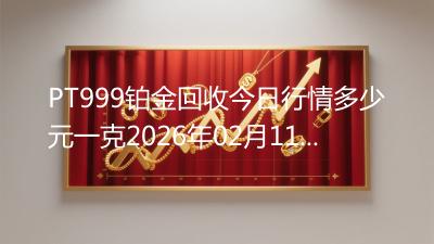PT999铂金回收今日行情多少元一克2026年02月11日