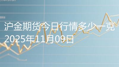 沪金期货今日行情多少一克2025年11月09日
