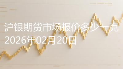 沪银期货市场报价多少一克2026年02月20日